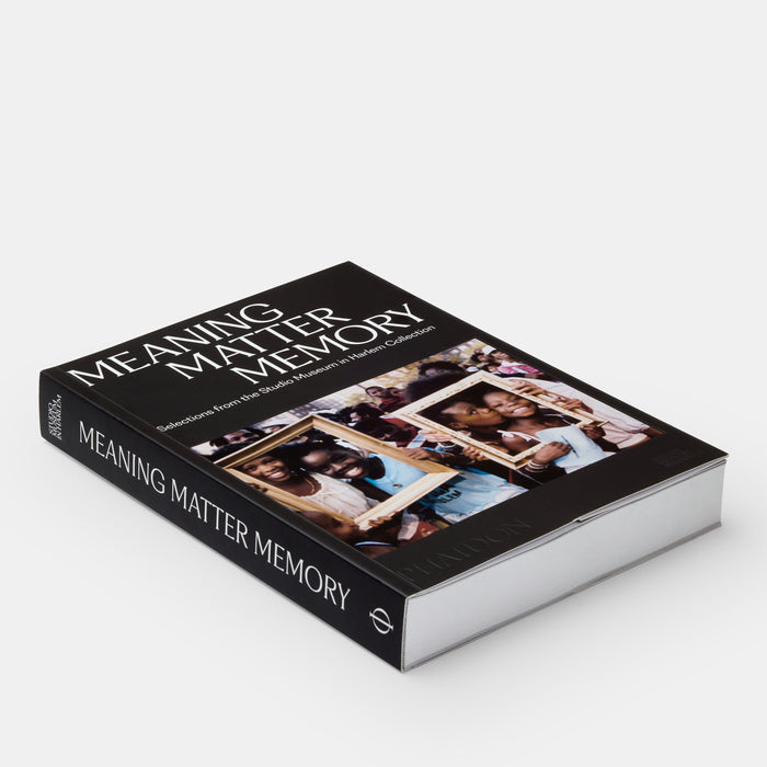 Meaning Matter Memory: Selections from the Studio Museum in Harlem Collection