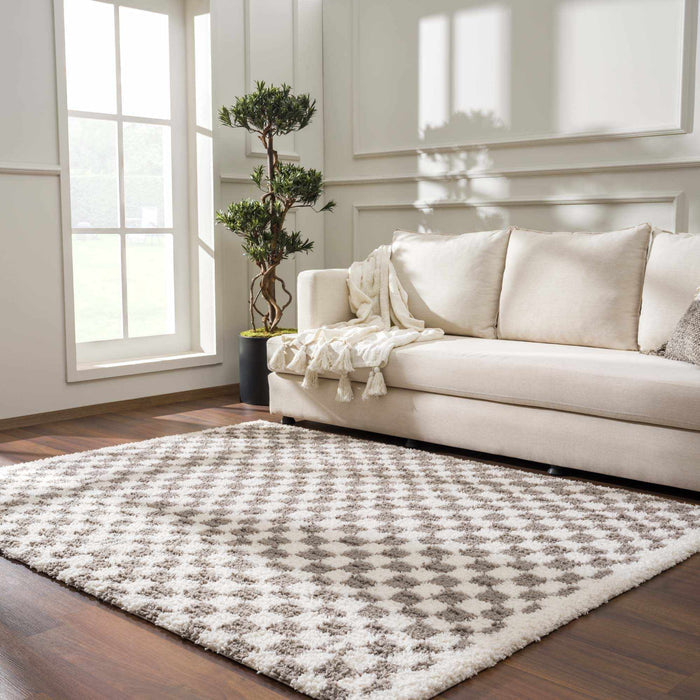 Modern Geometric Checkered plush White, Light Gray polyester area rug - The Rug Decor