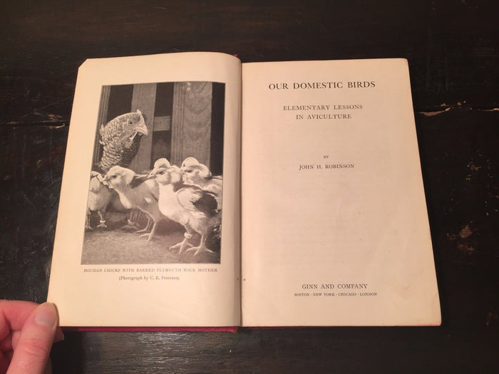 OUR DOMESTIC BIRDS Lessons in Aviculture John Robinson, First Edition 1913 RARE