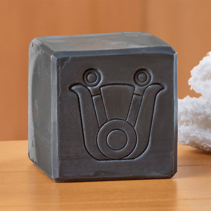 Paca Botánica Soap, Detoxifying Luna Bar