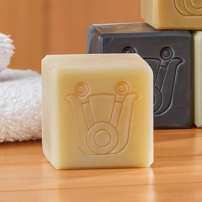 Paca Botánica Soap, Detoxifying Luna Bar