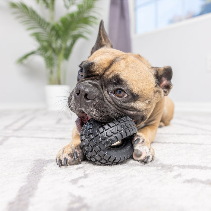 A French Bulldog lies on a light carpet, playfully biting a Petqwerks Jingle X-Tire Ball. A potted plant and a window are visible in the background.