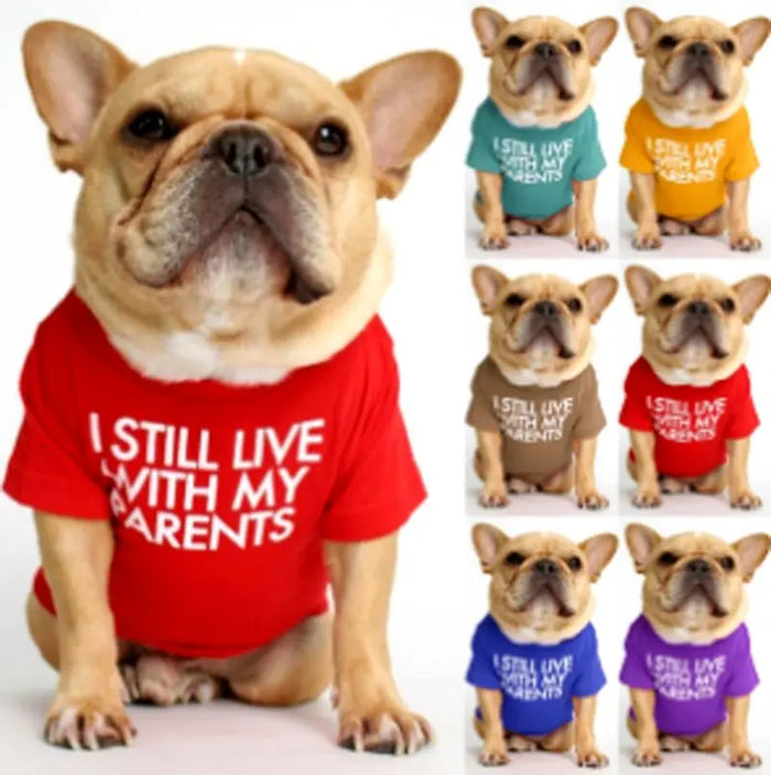 Pet T-Shirt – Soft Dog Shirt for Small & Medium Dogs