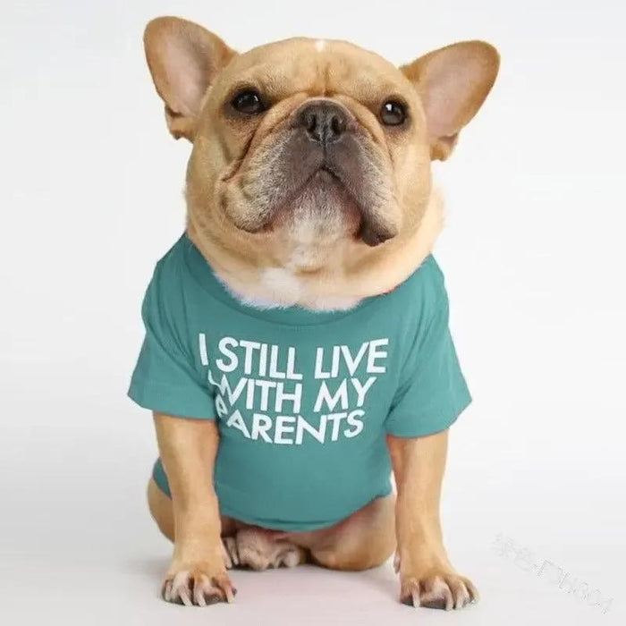 Pet T-Shirt – Soft Dog Shirt for Small & Medium Dogs