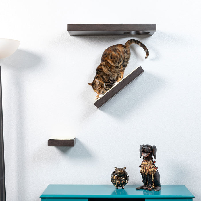 A brown and black tabby cat skillfully maneuvers through the PetFusion Wall Activity Shelves For Cats by Pet Fusion. The staggered, minimalist shelves offer perfect climbing zones, while a turquoise table below features a decorative cat sculpture alongside a dog figure.