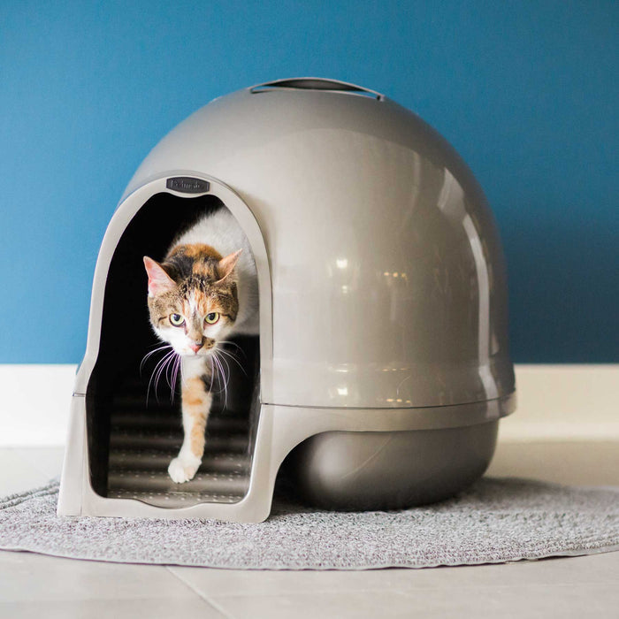 A cat exits a Petmate Booda Cleanstep Litter Dome for Cats, featuring an enclosed dome design with a charcoal filter, onto a rug. The blue wall and tiled floor provide a tranquil backdrop.