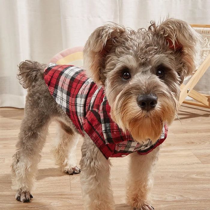 Plaid Pet Shirt – Stylish Dog T-Shirt for Small & Medium Dogs