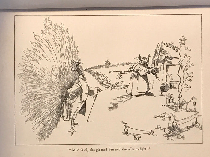 PLANTATION BIRD LEGENDS, M. Young, 1st/1st, Ill. JM Conde 1902 African American