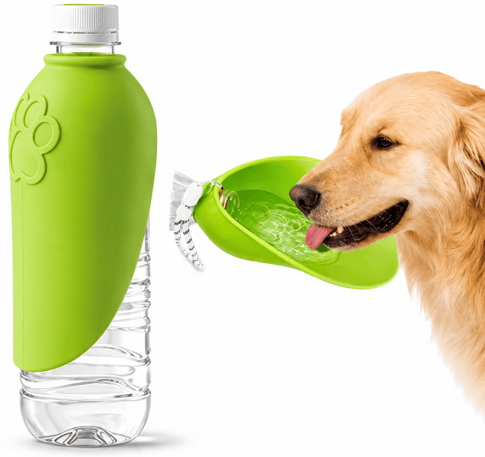 Portable Dog Water Bottle – Hydration Anywhere