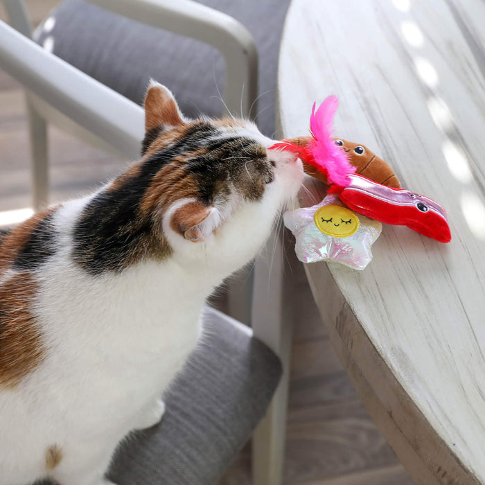 A calico cat on a chair sniffs the Quirky Kitty Brunch Bunch 3-Pack Cat Toy Set with Catnip, a colorful interactive plush toy set from Quirky Kitty, on a wooden table.