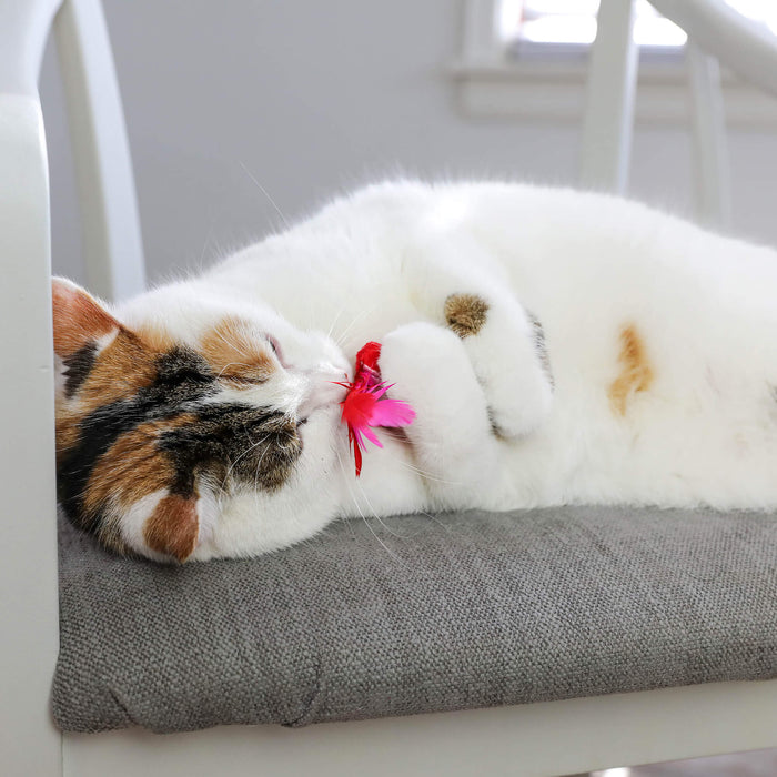 A white and brown cat relaxes on a gray cushioned chair, playfully holding and sniffing a Quirky Kitty Brunch Bunch Cat Toy from the 3-Pack Catnip set by Quirky Kitty.