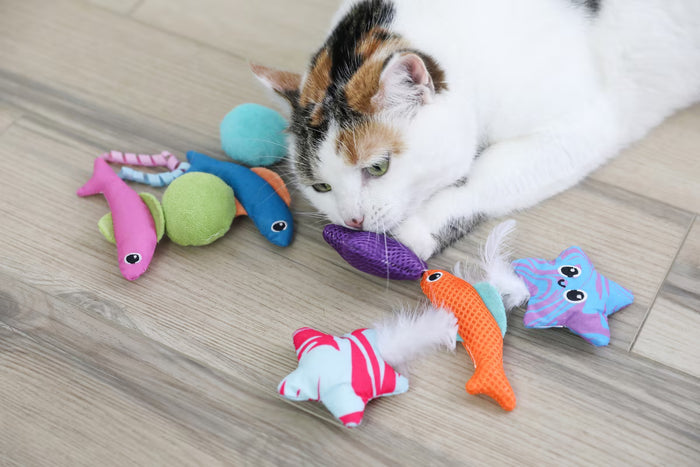 A white and orange cat lies on a wooden floor, playing with colorful Quirky Kitty Fish Bowl 8pk plush toys from Quirky Kitty scattered around.