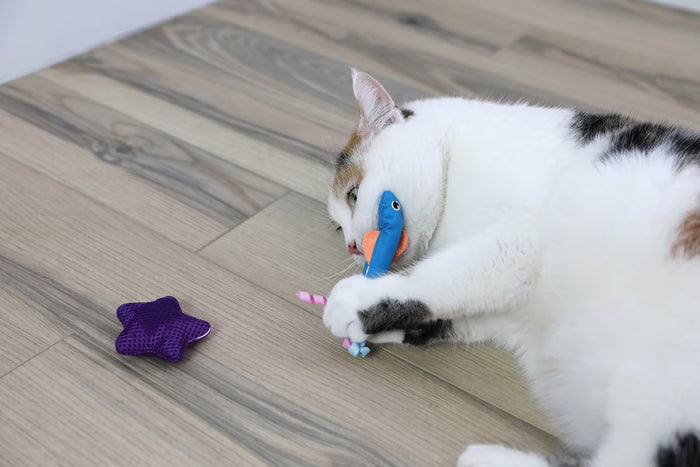 A white and brown cat lies on a wooden floor, cuddling a Quirky Kitty Fish Bowl toy in its mouth with another colorful toy nearby.