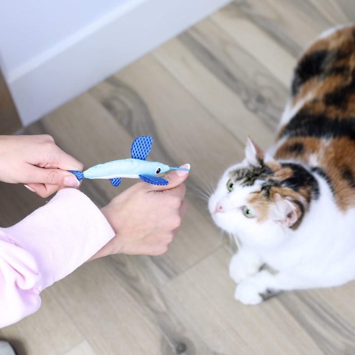 A person offers a Quirky Kitty Flying Fish Catnip Toy to a white and brown cat with green eyes, who watches the interactive slingshot toy on a light wood floor.