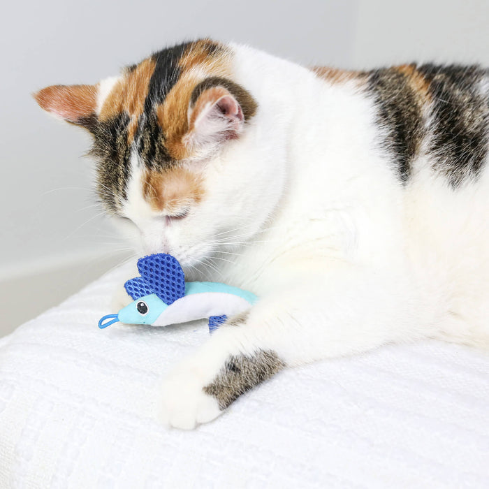 A calico cat naps on a white textured surface, eyes closed, and holds a Quirky Kitty Flying Fish—an interactive catnip toy with slingshot—from the Quirky Kitty Flying Fish 2pk between its front paws.