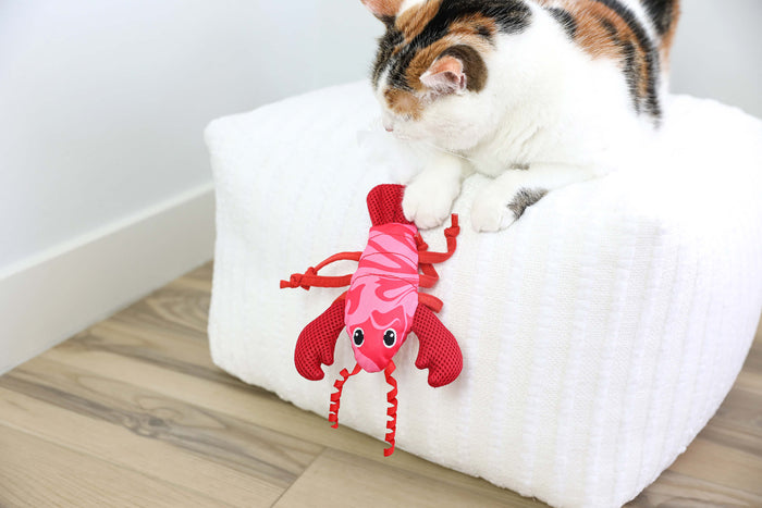 A calico cat sits on a white textured ottoman, playing with the Quirky Kitty Fresh Lobster Kicker—an ocean-themed, catnip-packed cat toy from Quirky Kitty—that dangles over the edge onto a wooden floor.