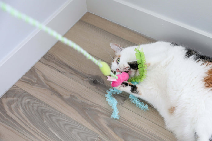 A white and brown cat lies on a wooden floor in the corner, wearing green and blue ruffled ribbons, playing with the Quirky Kitty Glow Snake Wand – a glowing forest cat toy with catnip & silvervine by Quirky Kitty.