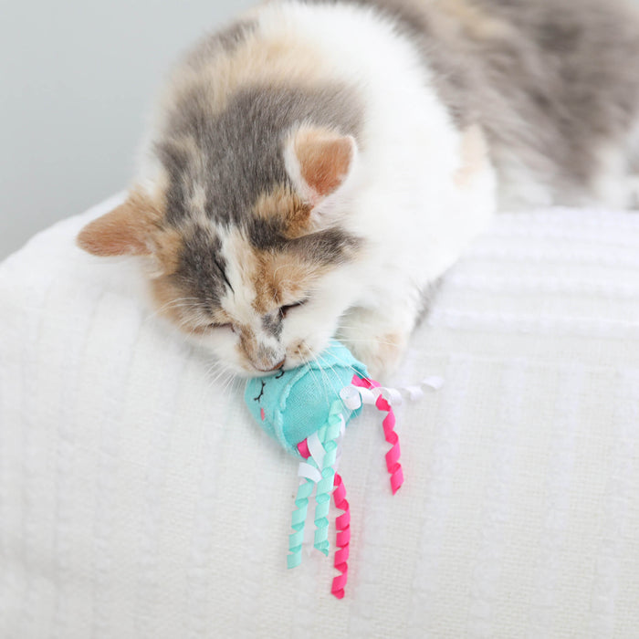 A fluffy cat lies on a white blanket, resting its face on the Quirky Kitty Jellyfish & Chill 2-Pack Cat Toy with Catnip by Quirky Kitty, featuring blue and pink jellyfish details with ribbons.