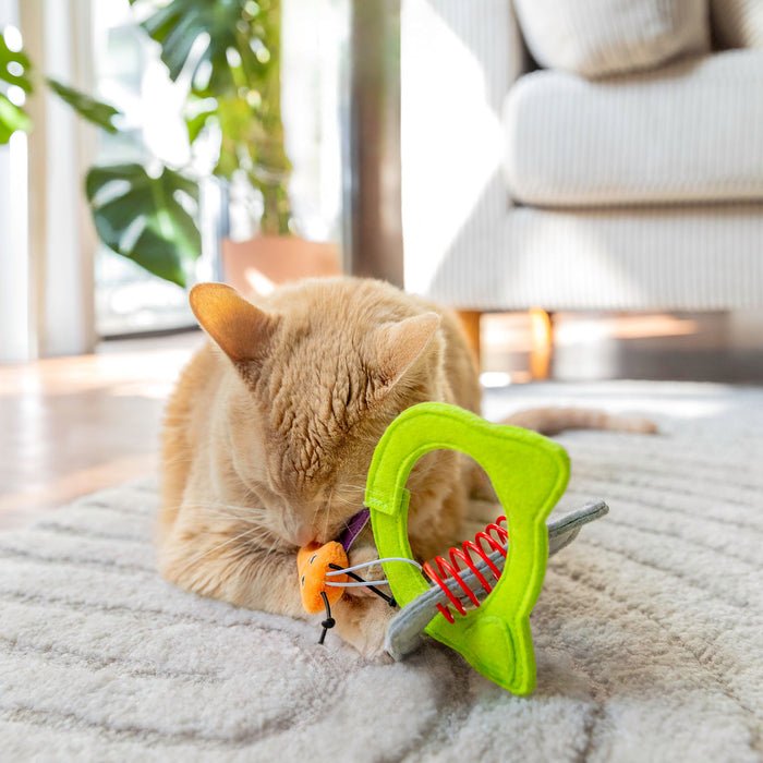 A ginger cat lies on a light-colored rug, enjoying the Quirky Kitty Kitty Connects Cat Toy, a green linkable toy with an orange attachment. Sunlight filters through the window, casting a warm glow over the cozy living room with a couch and large potted plant in the background.