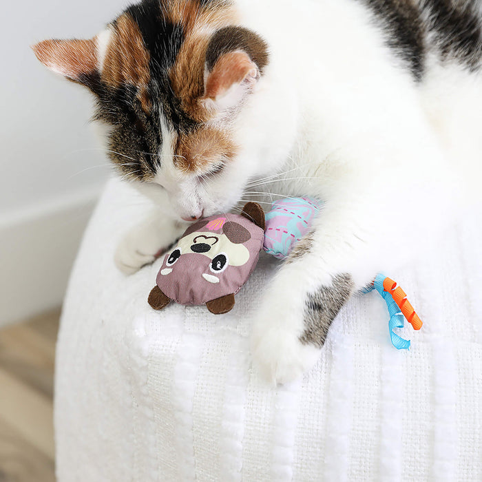 A calico cat lies on a white textured surface, licking a small stuffed animal. Nearby are Quirky Kitty Otterly Cool 2-Pack—ocean-themed cooling cat toys with catnip from Quirky Kitty—and other sensory toys.