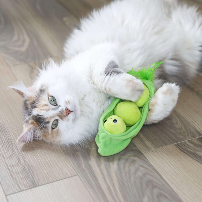 A fluffy white and gray cat with green eyes lies on a wooden floor, cuddling a Quirky Kitty Pea Pawd Kicker – a large catnip cat kicker toy shaped like peas in a pod by Quirky Kitty.