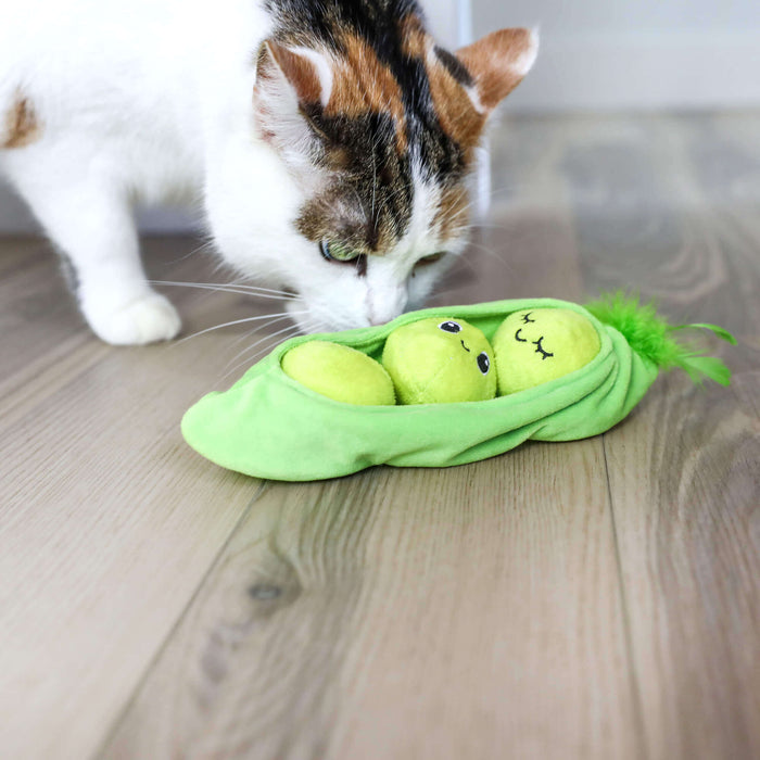 A white and brown cat sniffs the Quirky Kitty Pea Pawd Kicker – a large catnip kicker toy by Quirky Kitty, shaped like a pea pod with two smiling peas inside, lying on a wooden floor.