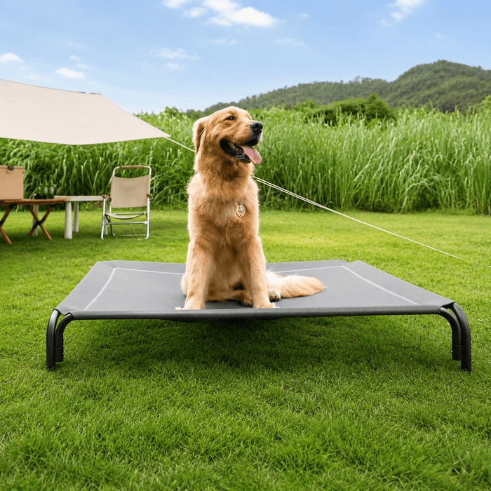 Raised Dog Bed with Breathable Mesh