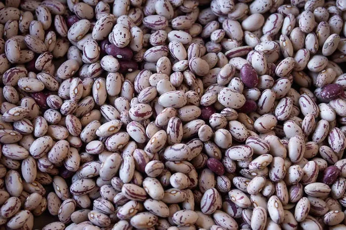 Rancho Gordo Cranberry Beans 12044278