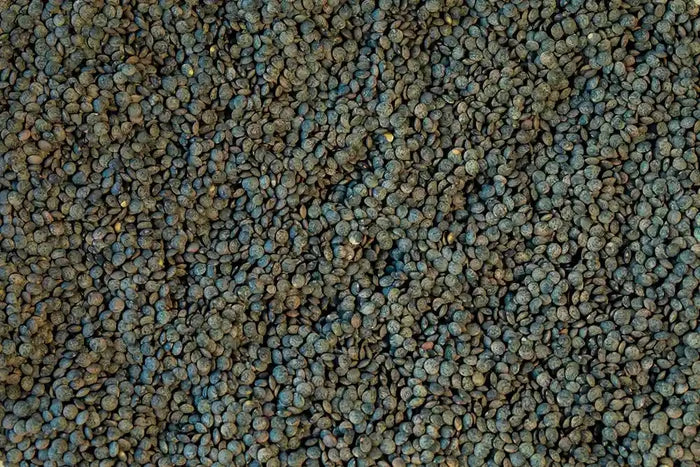 Rancho Gordo French Style Green Lentils Beans 12044279