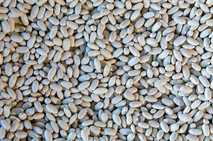 Rancho Gordo Marcella Beans Beans 12044280