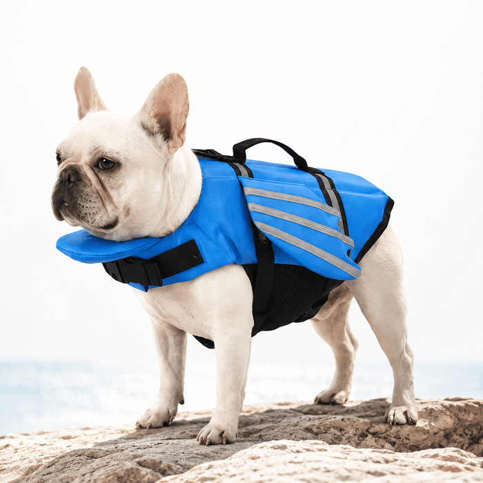 Reflective Angel Wing Dog Life Jacket Quick-Rescue Handle • Breathable Mesh • Reflective Safety Fursera