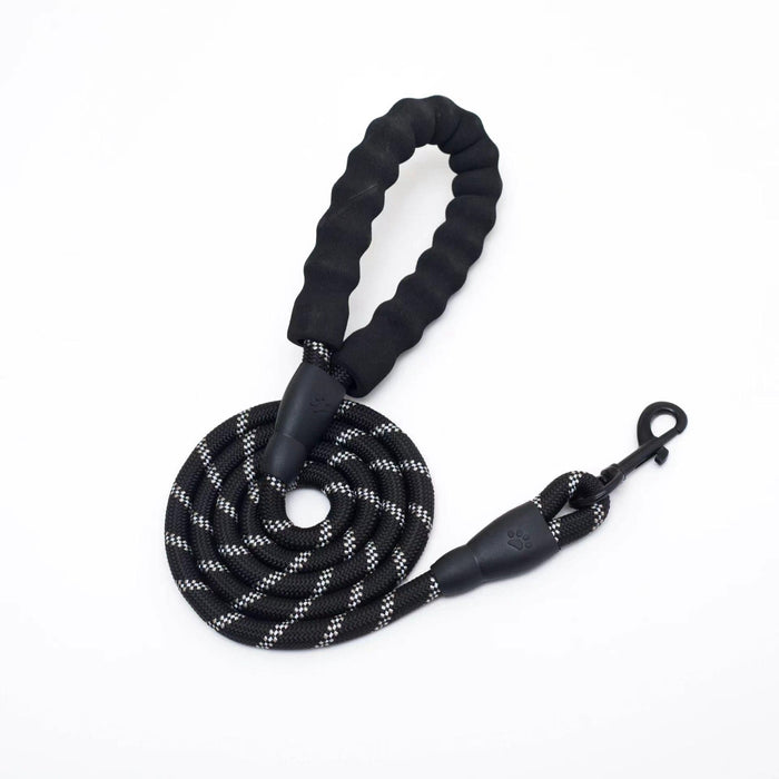 Reflective Nylon Dog Leash with Soft Padded Handle