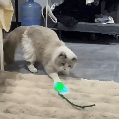 Rolling Fun Ball – Smart Interactive Pet Toy for Dogs & Cats