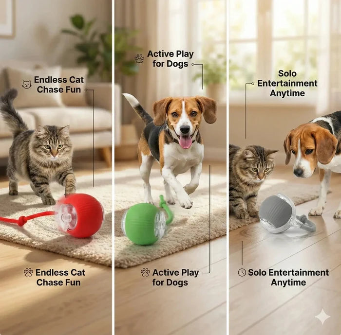 Rolling Fun Ball – Smart Interactive Pet Toy for Dogs & Cats