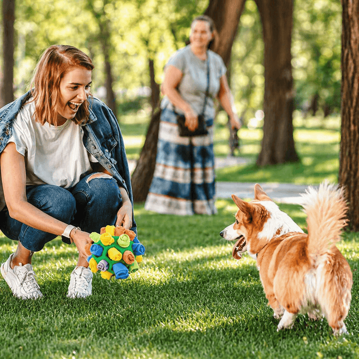 Sniffle Interactive Treat Game