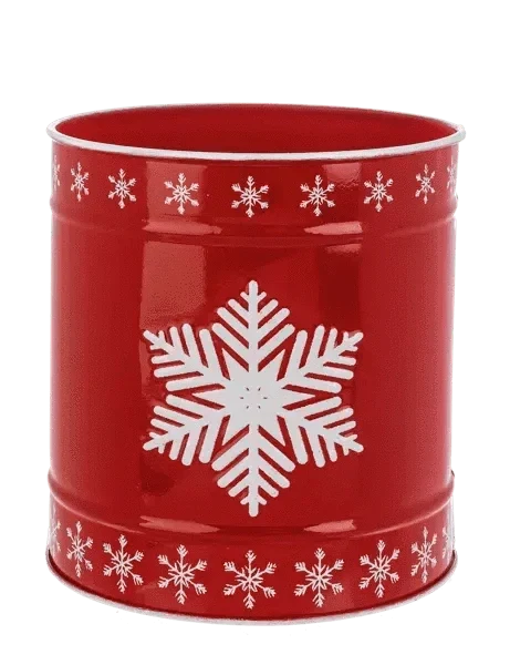 Snowflake Canister Seasonal & Holiday Decor Medium 12045063