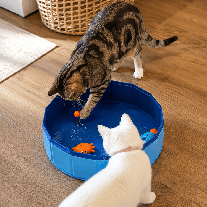 Solar Pet Splash Pool Fursera