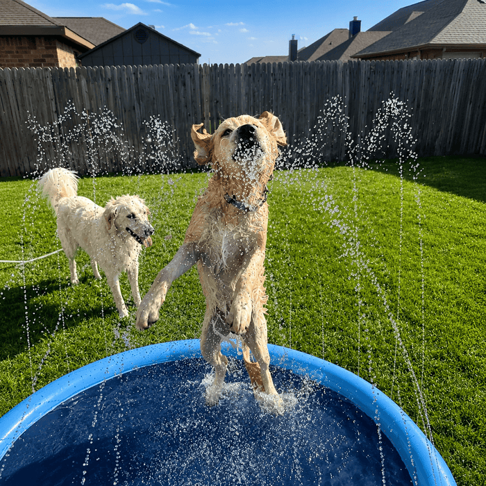 Splash Cooling Dog Splash Pad