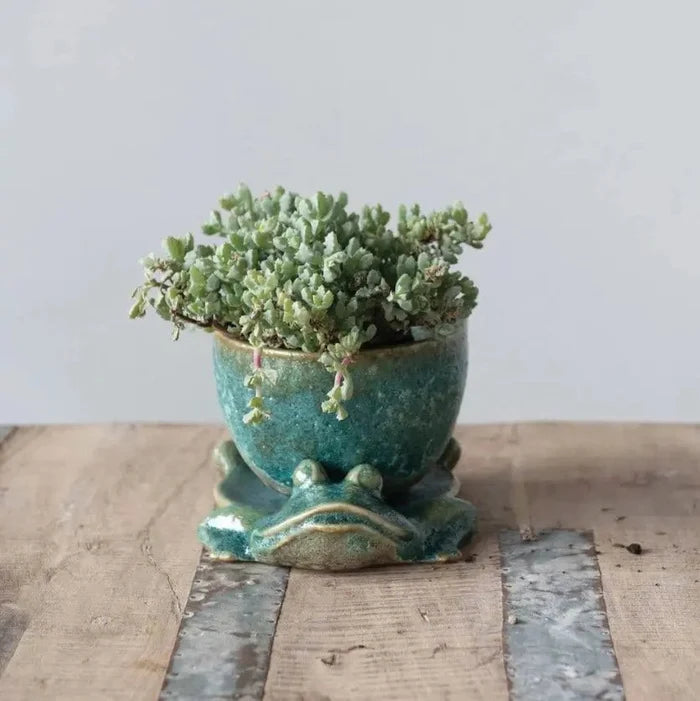 Stoneware Frog Planter Pots & Planters 12041356