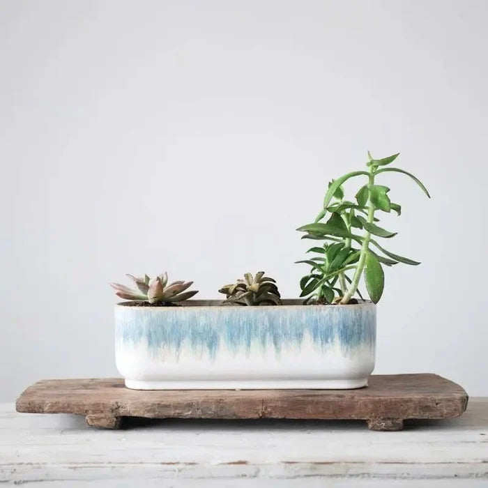 Stoneware Window Planter with 3 Sections Pots & Planters 12037786