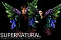 Supernatural Dean Sam Wall Poster - Poster - Supernatural-Sickness