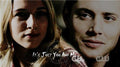 Supernatural Wall Poster 20x30inch - Poster - Supernatural-Sickness