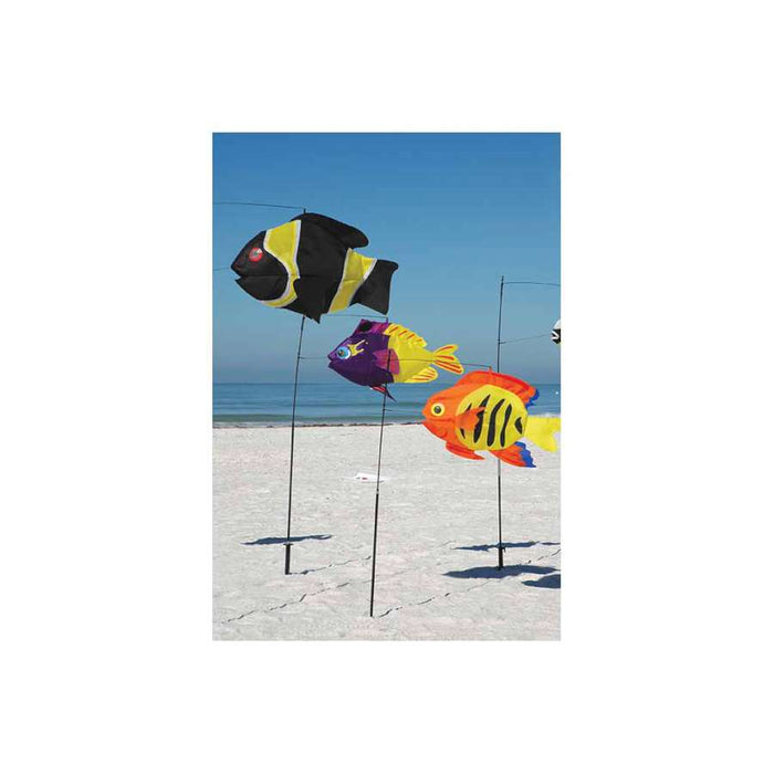Swimming Fish - Damsel Fish
