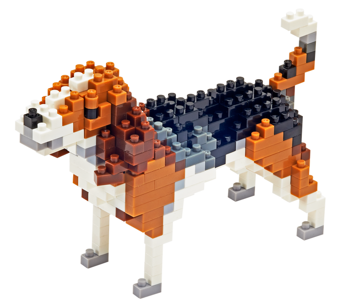 TICO Beagle