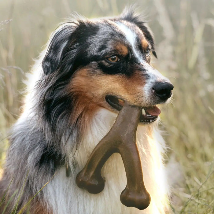 Tough Dog Toy – Durable Chew Toy for Strong Chewers