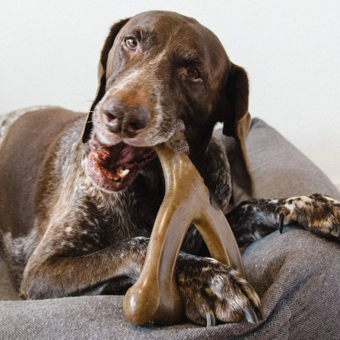 Tough Dog Toy – Durable Chew Toy for Strong Chewers