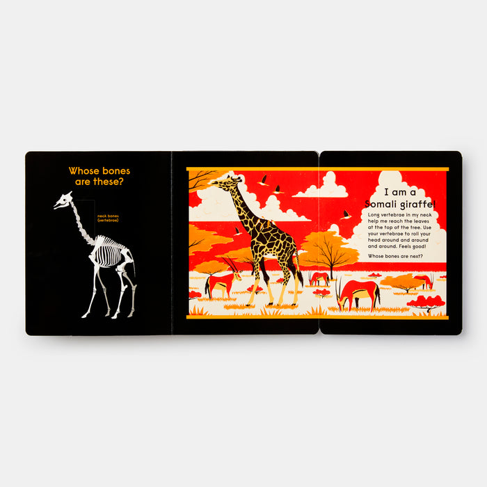 Whose Bones?: An Animal Guessing Game