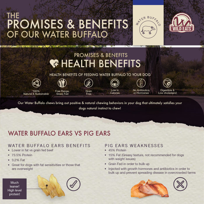 Infographic showcases health benefits of Wild Eats Braided Paddywack by Wild Eats, comparing water buffalo ears to pig ears with icons and key points on superior nutrition, digestibility, and dental health as a natural dog treat.
