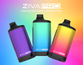 Yocan Ziva Pro concealable 510 cartridge Battery - 10 PACK